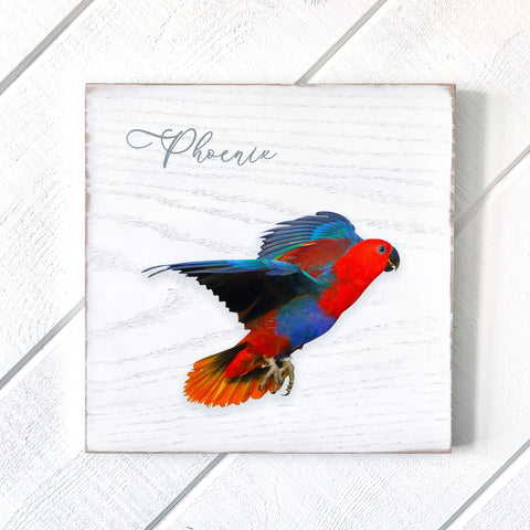 Custom 10x10 Petrichor Wall Art (White Distressed Wood)