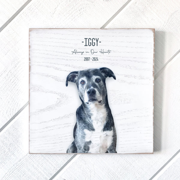 Custom 10x10 Petrichor Wall Art (White Distressed Wood)