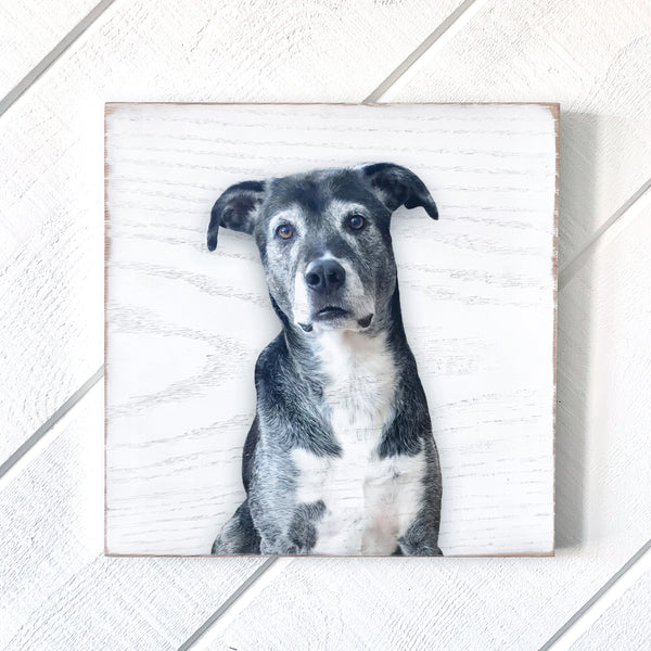 Custom 10x10 Petrichor Wall Art (White Distressed Wood)