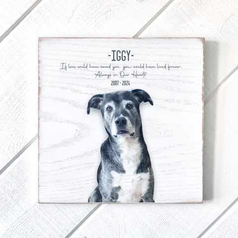 Custom 12x12 Petrichor Wall Art (White Distressed Wood)