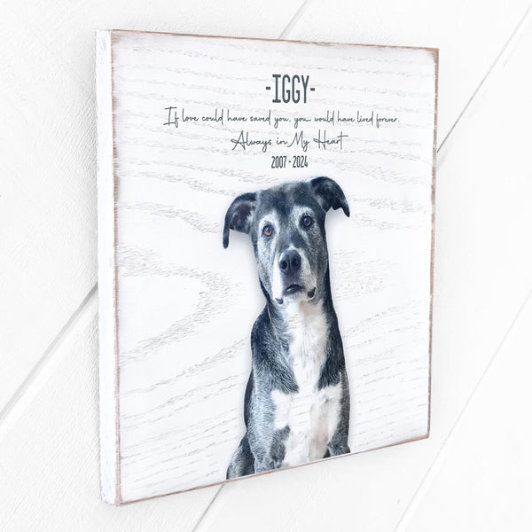 Custom 10x10 Petrichor Wall Art (White Distressed Wood)