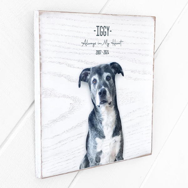 Custom 10x10 Petrichor Wall Art (White Distressed Wood)
