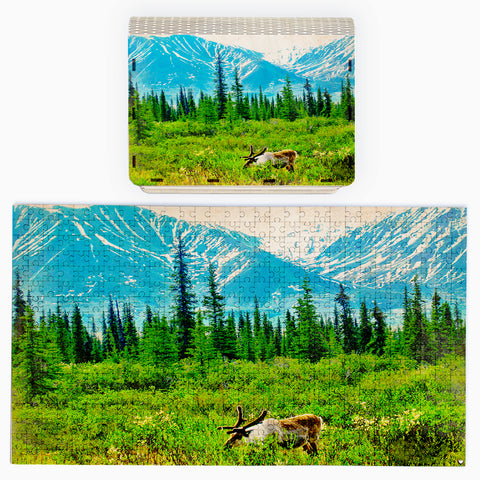 Freedom 500 Piece Puzzle