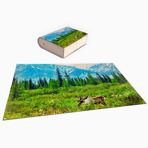 Freedom 500 Piece Puzzle