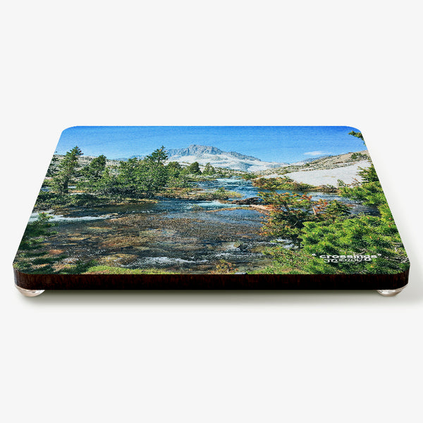 Crossings Coaster