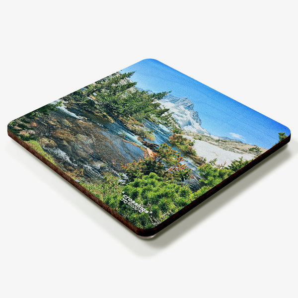 Crossings Coaster
