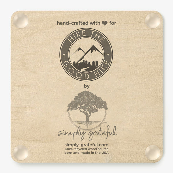 Arrowed Coaster