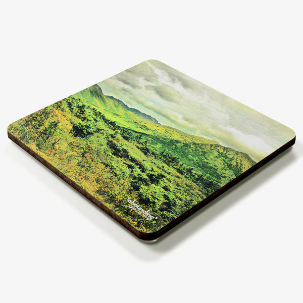 Abounding Coaster