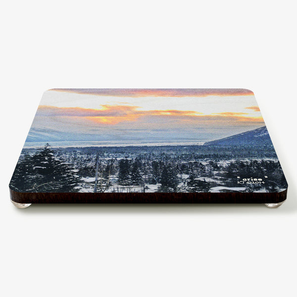 Arise Coaster