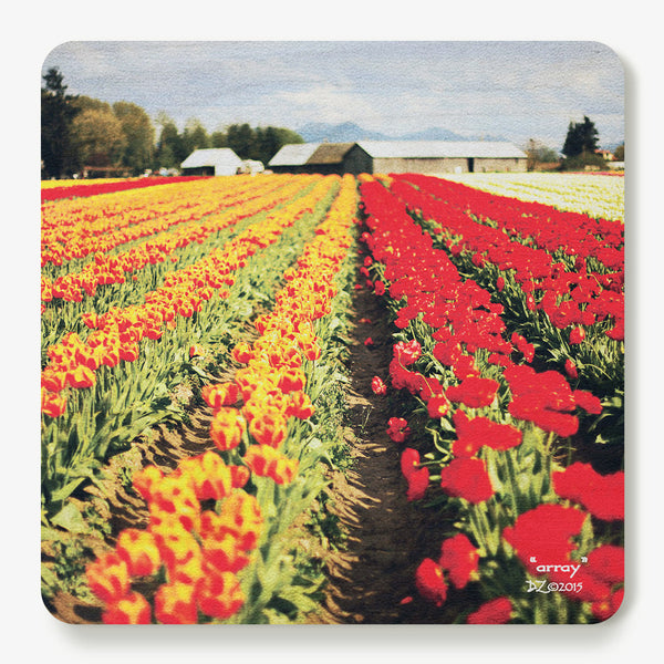 Array Coaster