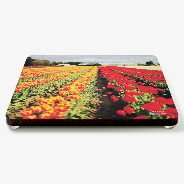 Array Coaster