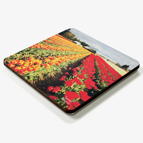 Array Coaster