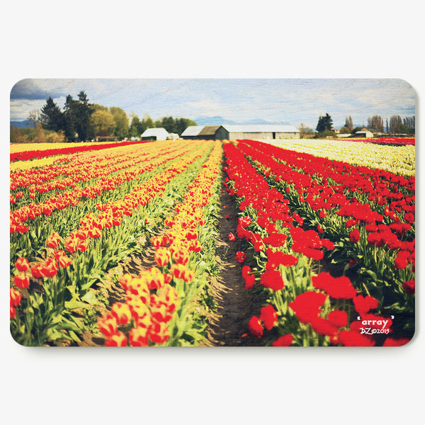 Array Postcard