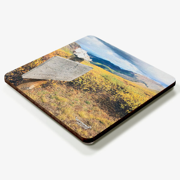 Arrowed Coaster