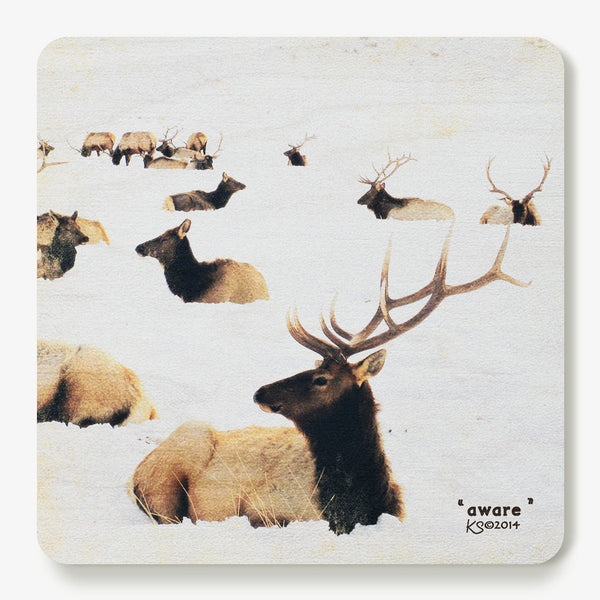 Aware Coaster