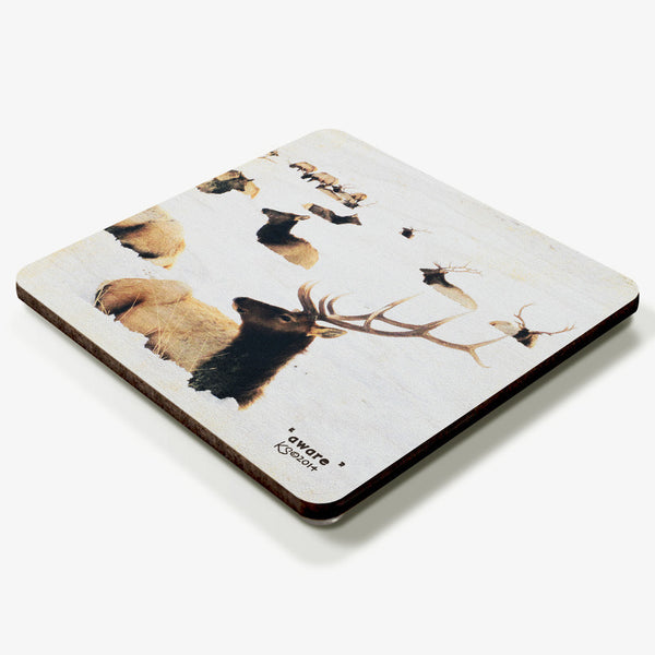 Aware Coaster