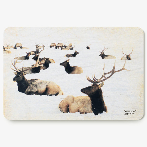 Aware Postcard