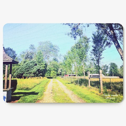 Back Roads Postcard
