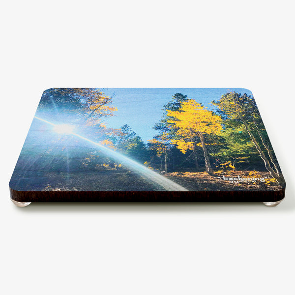 Beckoning Coaster