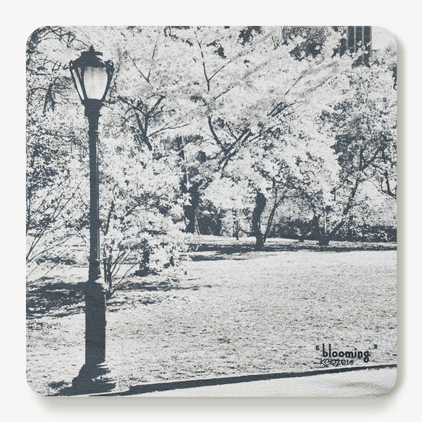 Blooming Coaster