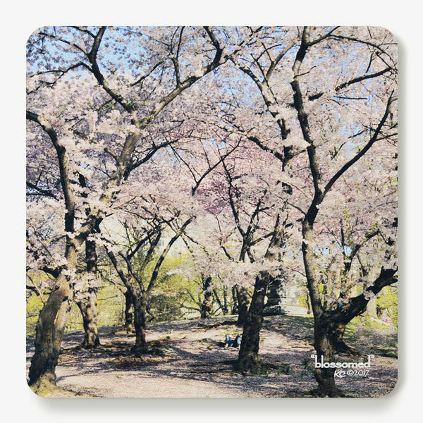 Blossomed Coaster
