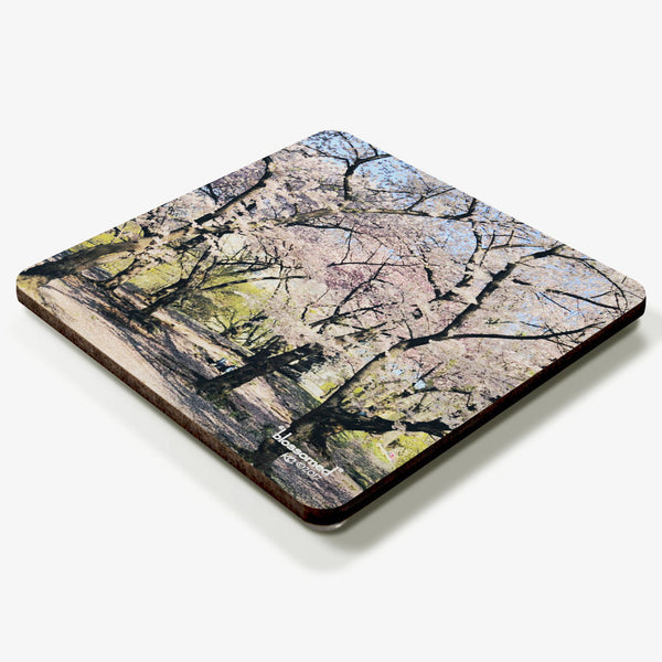 Blossomed Coaster