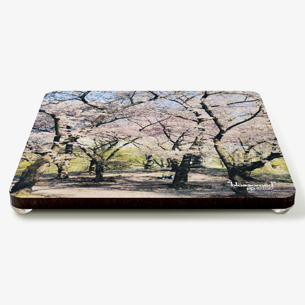 Blossomed Coaster
