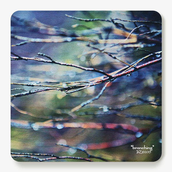 Branching Coaster