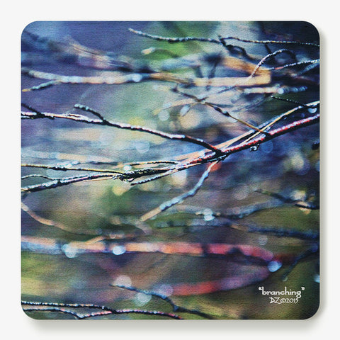 Branching Coaster