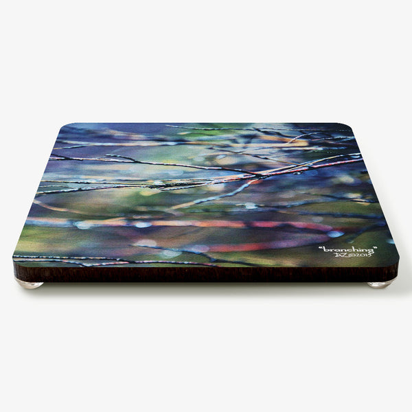 Branching Coaster