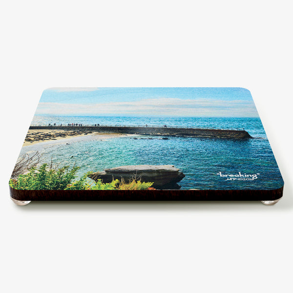 Breaking Coaster