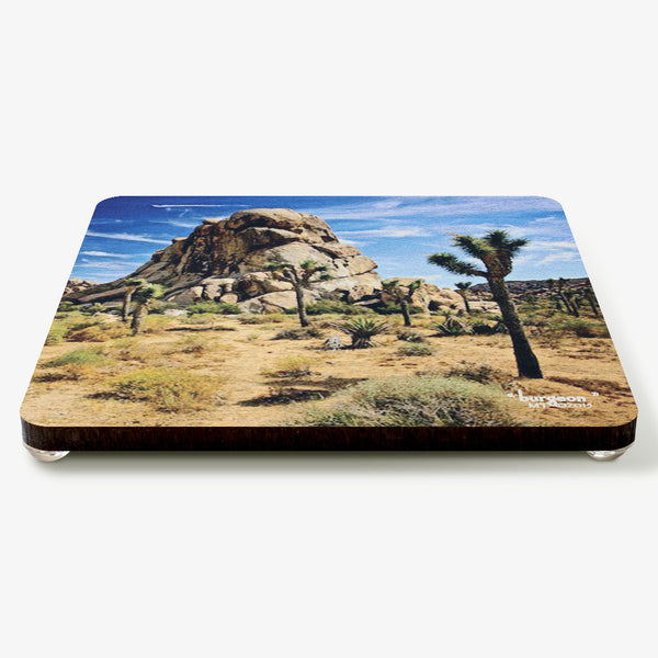 Burgeon Coaster
