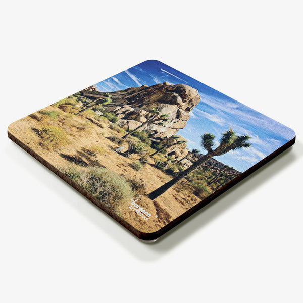 Burgeon Coaster