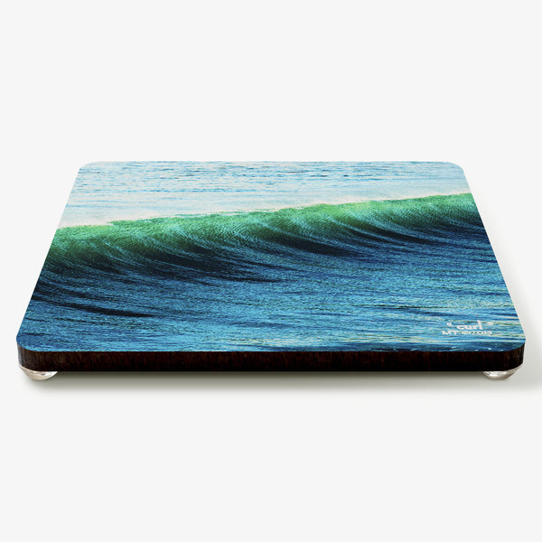 Curl Coaster