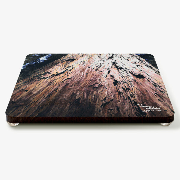 Deep Within Coaster