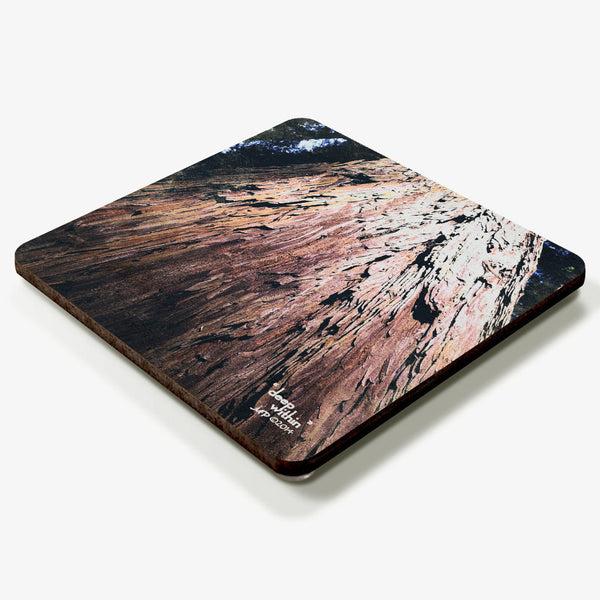 Deep Within Coaster
