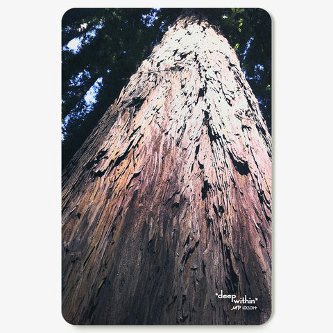 Deep Within Postcard