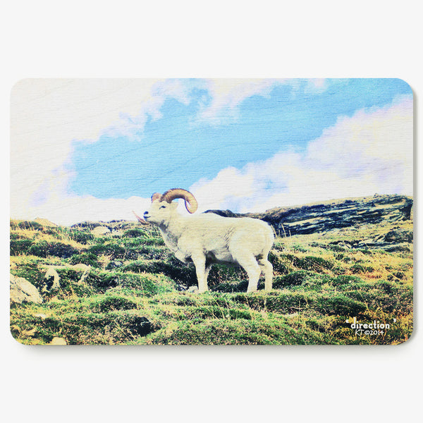 Direction Postcard