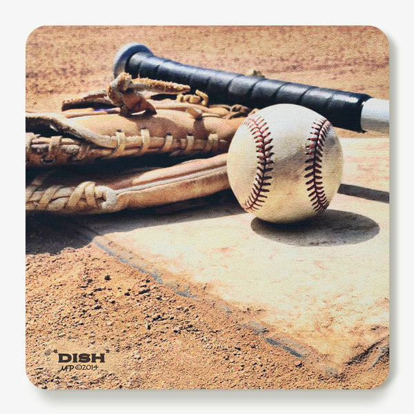 Dish Coaster