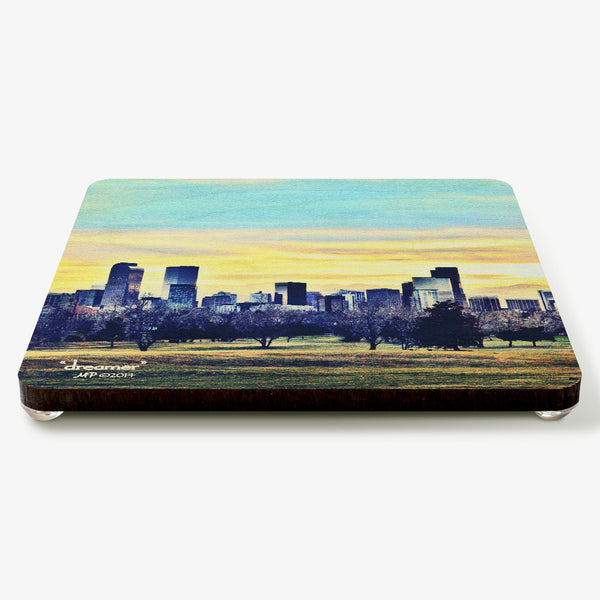 Dreamer Coaster