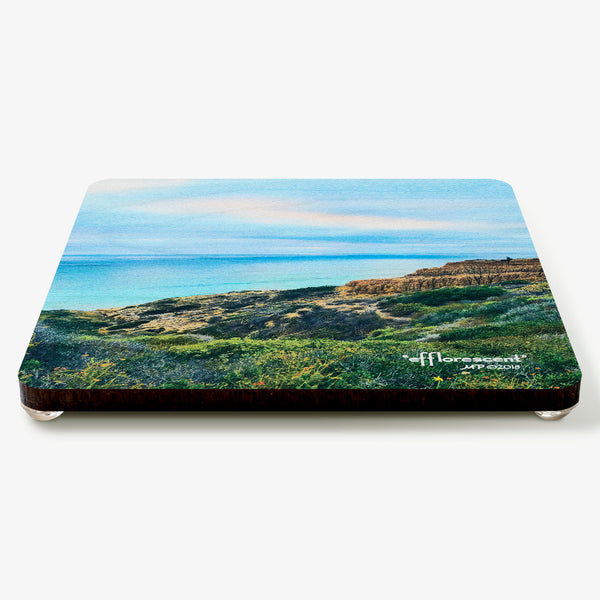 Efflorescent Coaster