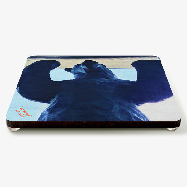 Emerge Coaster