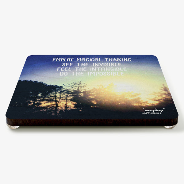 Employ Coaster
