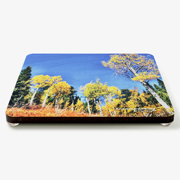 Encompassing Coaster