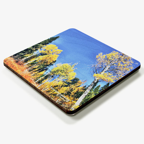 Encompassing Coaster
