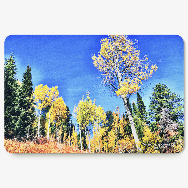 Encompassing Postcard