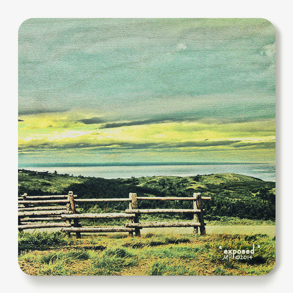 Exposed Coaster