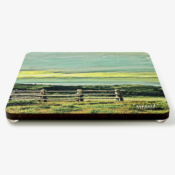 Exposed Coaster