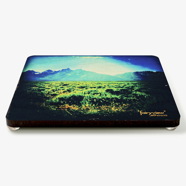 Fairyview Coaster