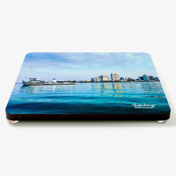 Fetching Coaster